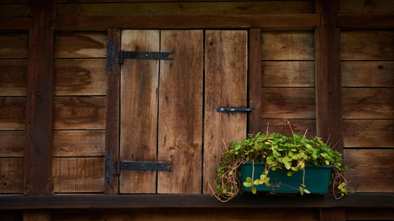 Epicos House, Your Home Away From Home. Nogueira  Exteriör bild